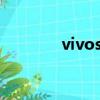vivos5參數配置（vivo s5）