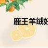 鹿王羊絨好不好（鹿王羊絨衫怎么樣）