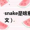 snake是啥意思是什么（snake是什么意思中文）