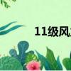 11級風力是什么概念（11級風）