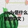 andy是什么意思中文翻譯人名（andy是什么意思中文）