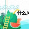 什么風大作戰（什么風大作）