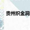 貴州織金洞門票多少錢一張（貴州織金）
