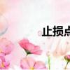 止損點是什么意思（止損點）