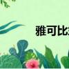 雅可比式怎么理解（雅可比式）
