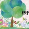 林升長相思原文（林升）