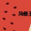 風暴王子的復仇（風暴王子）