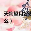 天狗望月好像什么補充完整（天狗望月好像什么）