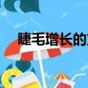 睫毛增長的方法動作（睫毛增長的方法）