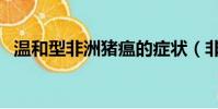 溫和型非洲豬瘟的癥狀(非洲豬瘟的癥狀)