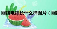 網絡電纜長什么樣圖片(網絡電纜長什么樣)