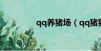 qq養豬場(qq豬豬領養)