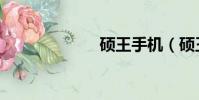 碩王手機(碩王)
