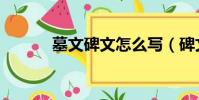 墓文碑文怎么寫(碑文怎么寫)