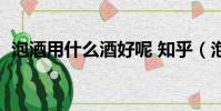 泡酒用什么酒好呢 知乎(泡酒用什么酒好)