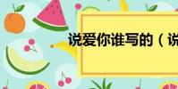 說愛你誰寫的(說愛你)
