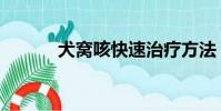 犬窩咳快速治療方法(犬窩咳)