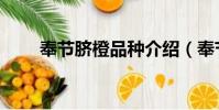 奉節臍橙品種介紹(奉節臍橙品種)