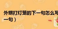 外甥打燈籠的下一句怎么寫(外甥打燈籠的下一句)