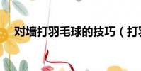 對墻打羽毛球的技巧(打羽毛球的技巧)