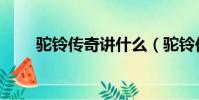 駝鈴傳奇講什么(駝鈴傳奇好看嗎)