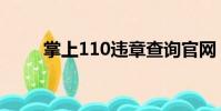 掌上110違章查詢官網(掌上110)