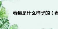 春運是什么樣子的(春運是什么)