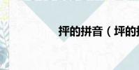 抨的拼音(坪的拼音)