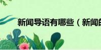 新聞導語有哪些(新聞的導語10個)