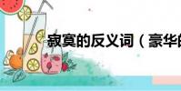 寂寞的反義詞(豪華的反義詞)
