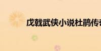 戊戟武俠小說杜鵑傳奇(戊戟)