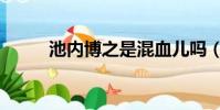 池內博之是混血兒嗎(池內博之)