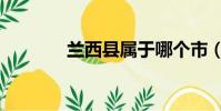 蘭西縣屬于哪個市(蘭西縣)