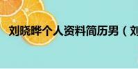 劉曉曄個人資料簡歷男(劉曉曄個人資料)