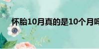 懷胎10月真的是10個月嗎(懷胎10月)