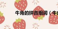牛角的拼音組詞(牛角的拼音)