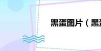 黑蛋圖片(黑蛋)