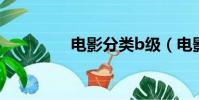 電影分類b級(電影分類)