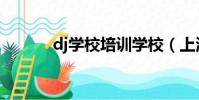 dj學校培訓學校(上海dj學校)