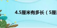 4.5厘米有多長(5厘米有多長)