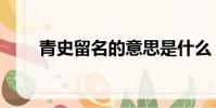 青史留名的意思是什么(青史留名)
