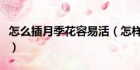 怎么插月季花容易活(怎樣插月季花成活率高)