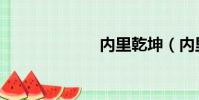內里乾坤(內里)