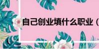 自己創業填什么職業(自己創業)