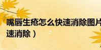 嘴唇生瘡怎么快速消除圖片(嘴唇生瘡怎么快速消除)