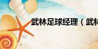 武林足球經理(武林足球2)
