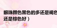 眼珠顏色黑色的多還是褐色的多(眼珠黑色好還是棕色好)