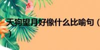 天狗望月好像什么比喻句(天狗望月好像什么)