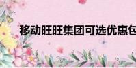 移動旺旺集團可選優惠包(移動旺旺)