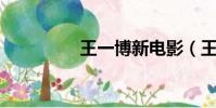 王一博新電影(王一 博)